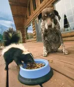 untitled pateince.webp
