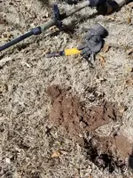 20180222_115048.webp