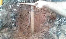 20180318_145216.webp