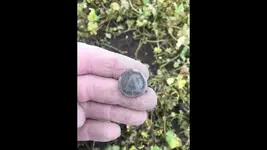 button dug.webp