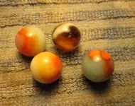Glnd Orangies.webp