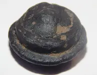 DSCN8995.webp