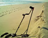 t21.webp
