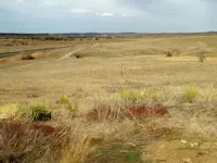 walk 032518 1.webp