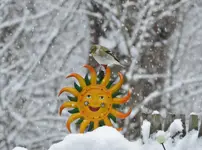 K1600_012.webp