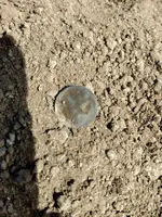 coin2.webp