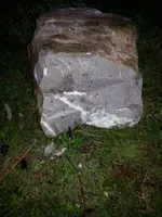 IMG_0483[1].webp