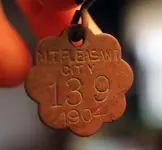 dogtag2.webp