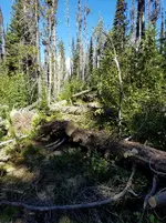 20160822_093712.webp