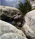 spot1.webp