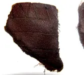 DSCN8944.webp