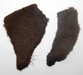 DSCN8946.webp