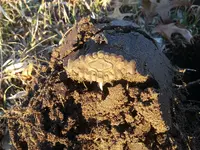 20180301_170615.webp 20180301_170615.webp