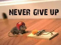 4F01ACD8-5F0B-40AF-B04F-90DFC0B1951B.webp