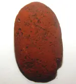 DSCN8948.webp