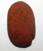 DSCN8949.webp