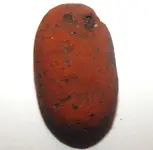 DSCN8950.webp
