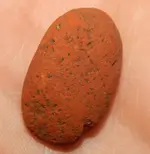 DSCN8953.webp