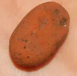 DSCN8954.webp
