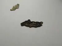 DSCN0360.webp
