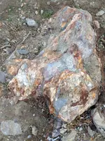 image.webp