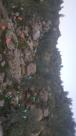 20180305_174425_017-1.webp