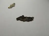DSCN0360.webp