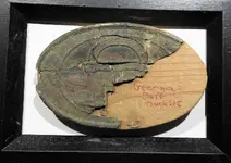 Ga buckle.webp