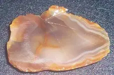 100_0609.webp