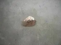 DSCN3664.webp