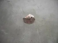 DSCN3663.webp