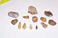 Jan 08 finds.webp
