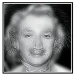 albert.webp
