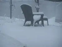 snow jan2808 001.webp