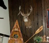 IM002456a.webp