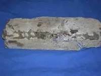 DSCN1666.webp
