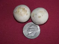 stone balls.webp