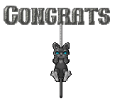 catCongrats.gif