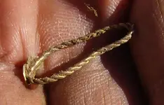 Reopen AH Gold Ring 2.webp