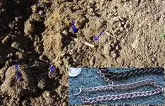 Reopen AH HGE Watch Chain 1.webp