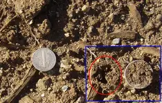 Reopen AH  Silver 2nd Merc Exposed 1.webp