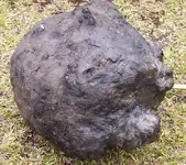 ctmpphppEof2U.webp
