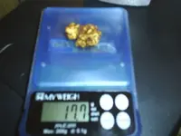 Claim stake and 17.7 DWT Nugget 003.webp