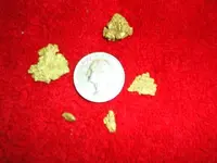 Garys Gold 001.webp