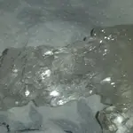 1519971013332-444929943.webp