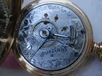 Overland movement.webp