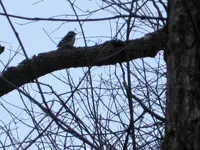 IMG_0559 (2).webp