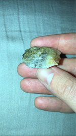 ImageUploadedByTreasureNet.com1522102977.545244.webp