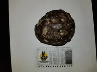 20180318_111517.webp