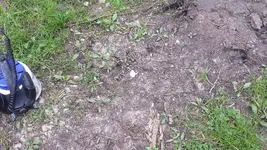 20180326_110755.webp